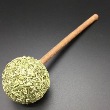 Catnip Lollipop and Various Cat Toys Manufacturer