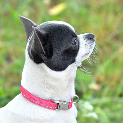 Small Dog Collar Nylon Reflective Puppy Collar Adjustable with Metal Buckle Black Pink Mint Green Lime Orange Red Purple Blue (Neck Fit 7"-11", Lime Green)